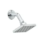 Fotografía de Regadera para ducha con brazo Nogal - Construmarket